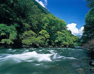 《拳皇15》公布特别艺术插画 2月14日发售在即