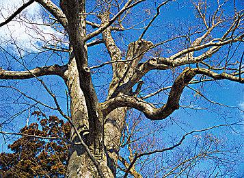 怀旧拉满 《合金装备2》第三人称视角MOD发布